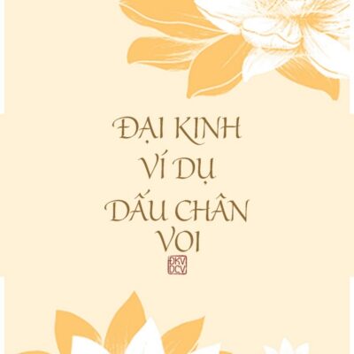 ĐẠI KINH VÍ DỤ DẤU CHÂN VOI